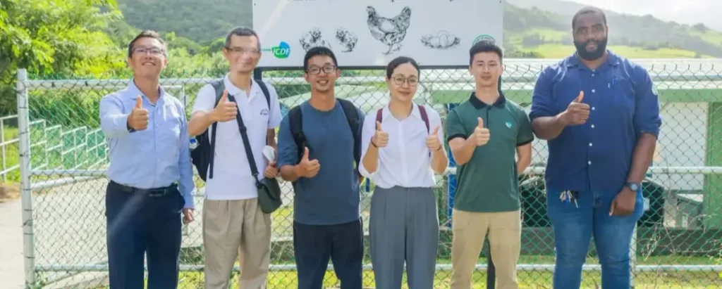 St. Kitts and Taiwan Bolster Egg Production with Chicken Project St. Kitts and Taiwan Bolster Egg Production with Chicken Project