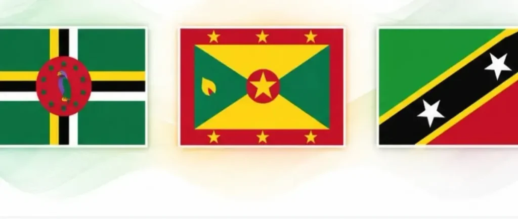 OECS Leaders Meet on EU Citizenship by Investment Program Concerns